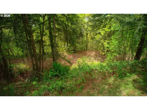 107 Legacy Drive Woodland WA 98674