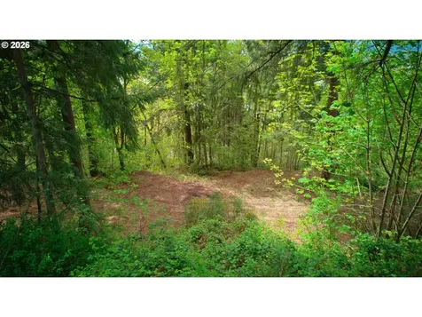 107 Legacy Drive Woodland WA 98674