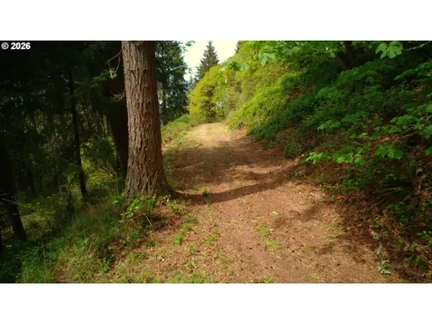 107 Legacy Drive Woodland WA 98674
