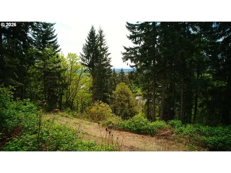 107 Legacy Drive Woodland WA 98674