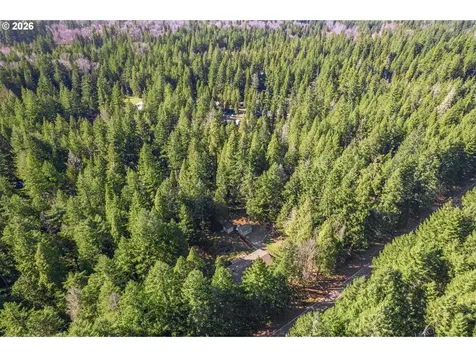 91638 Horse Creek Road Mckenzie Bridge OR 97413