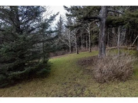 2600 Aleolian Neskowin OR 97149