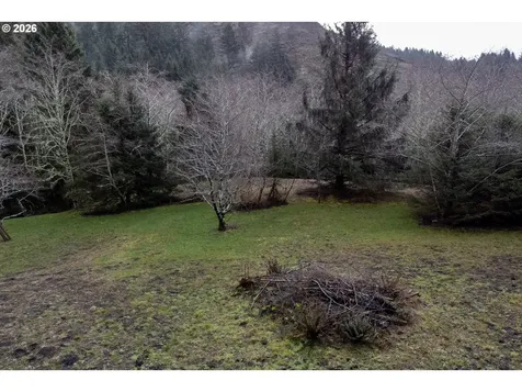 2600 Aleolian Neskowin OR 97149