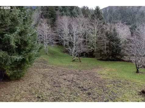2600 Aleolian Neskowin OR 97149