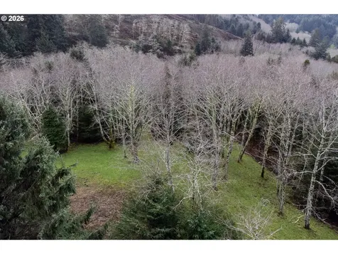 2600 Aleolian Neskowin OR 97149