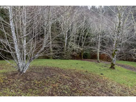 2600 Aleolian Neskowin OR 97149