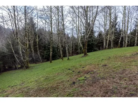 2600 Aleolian Neskowin OR 97149