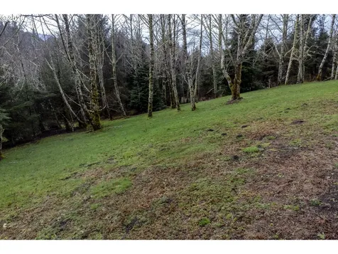 2600 Aleolian Neskowin OR 97149
