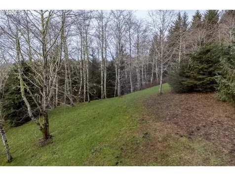 2600 Aleolian Neskowin OR 97149