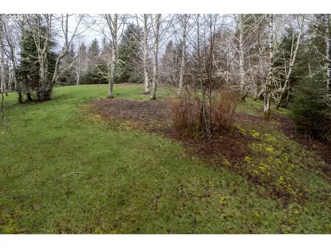 2600 Aleolian Neskowin OR 97149