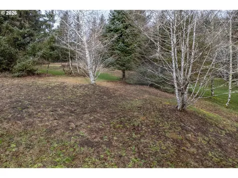 2600 Aleolian Neskowin OR 97149