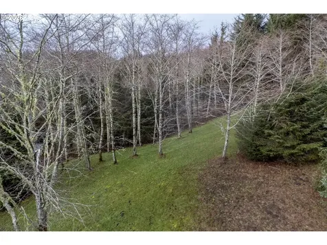 2600 Aleolian Neskowin OR 97149