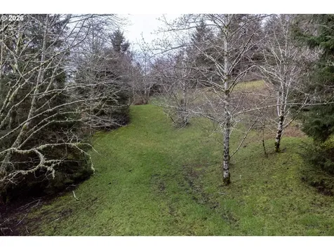 2600 Aleolian Neskowin OR 97149