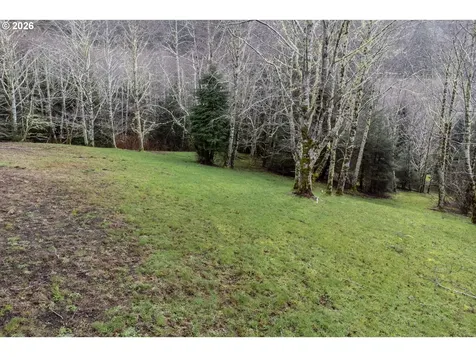 2600 Aleolian Neskowin OR 97149