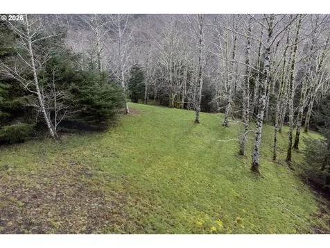 2600 Aleolian Neskowin OR 97149