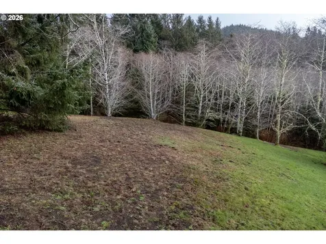 2600 Aleolian Neskowin OR 97149