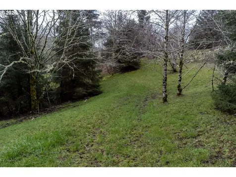 2600 Aleolian Neskowin OR 97149