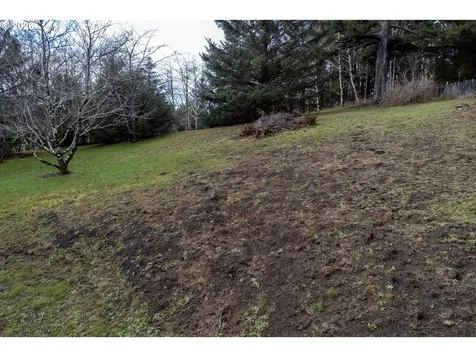 2600 Aleolian Neskowin OR 97149