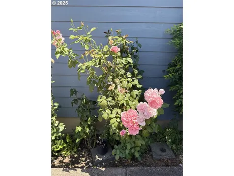 1255 S 13th Street Cottage Grove OR 97424