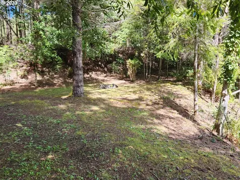 95787 Ponderosa Drive Gold Beach OR 97444