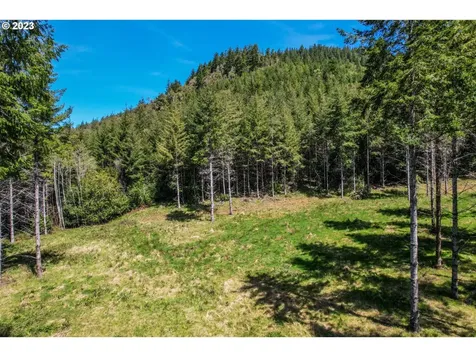 95787 Ponderosa Drive Gold Beach OR 97444