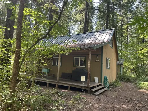 Cabin 112 Northwoods Cougar WA 98616