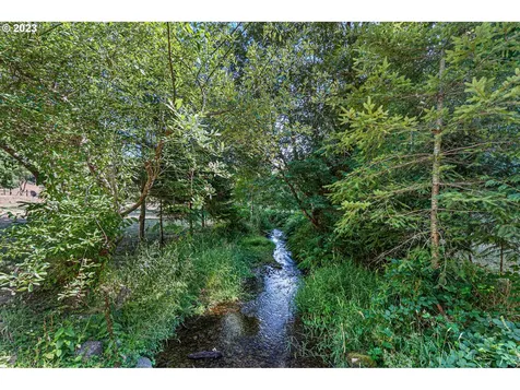 89586 Nelson Mountain Road Walton OR 97490
