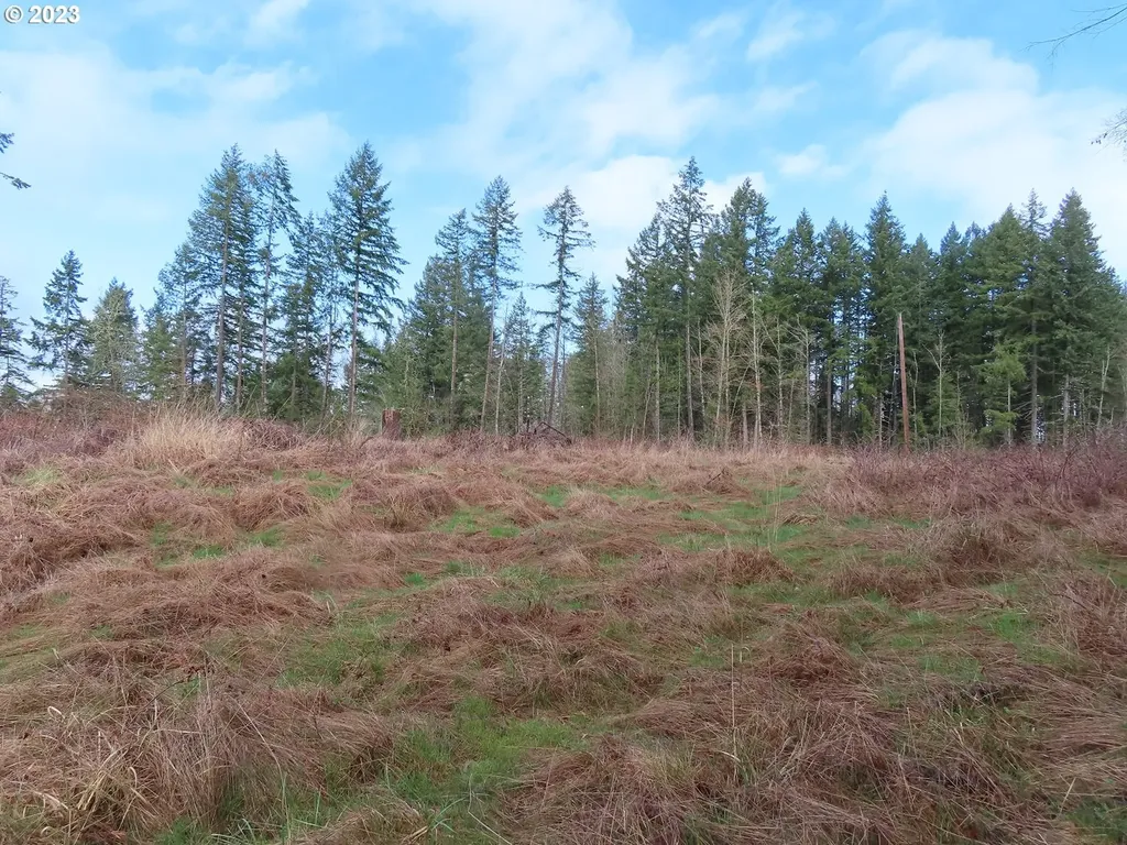 8315 330th Street E Eatonville WA 98328