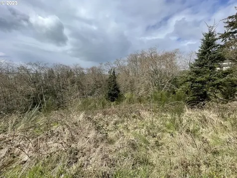 Lot 19 North Ridge Drive Bay City OR 97107
