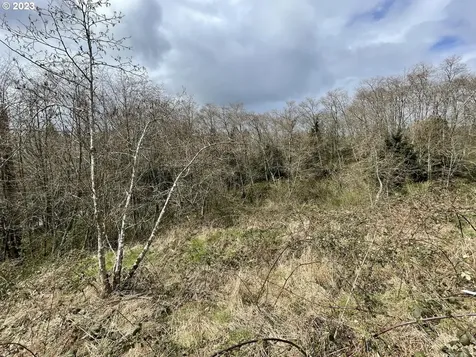 Lot 19 North Ridge Drive Bay City OR 97107