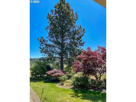 8017 Old Highway 99 North Roseburg OR 97470