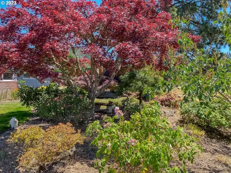 8017 Old Highway 99 North Roseburg OR 97470