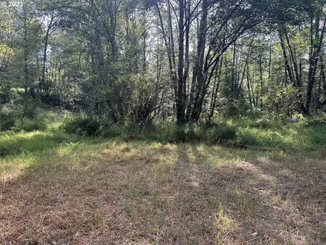 40976 Old Highway 30 Astoria OR 97103