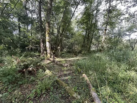 40976 Old Highway 30 Astoria OR 97103