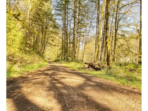 31000 Scappoose Vernonia Highway Scappoose OR 97056