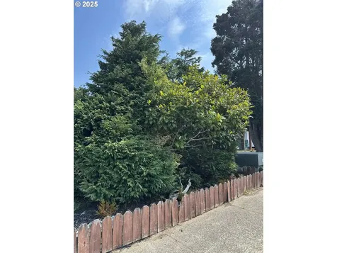2065 Hayes Street North Bend OR 97459