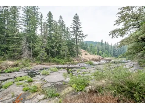 46431 Santiam Highway Foster OR 97345