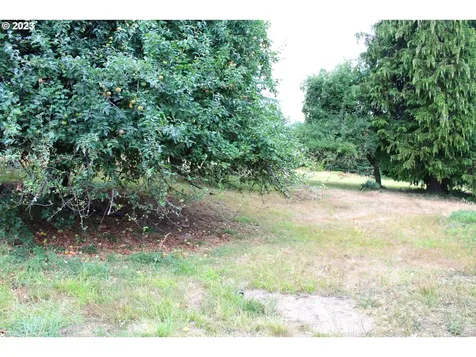 56331 Turley Road Warren OR 97053