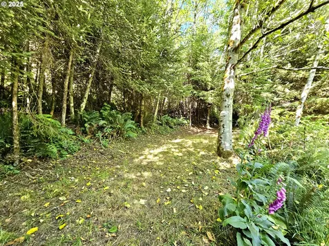 26665 Sebastian Lane Gold Beach OR 97444
