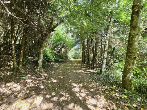 26665 Sebastian Lane Gold Beach OR 97444