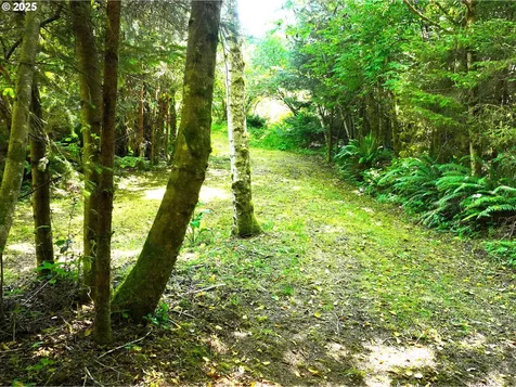 26665 Sebastian Lane Gold Beach OR 97444