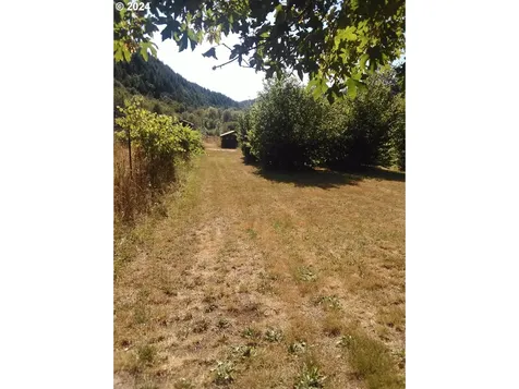 18624 Highway 36 Blachly OR 97412