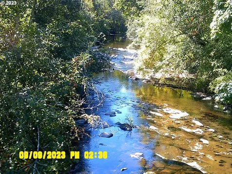 18624 Highway 36 Blachly OR 97412