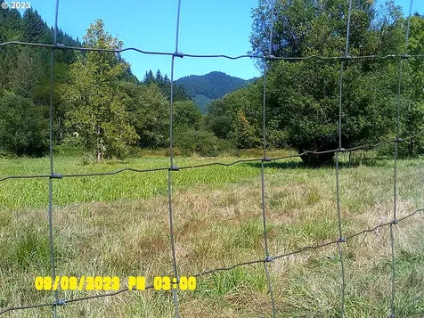 18624 Highway 36 Blachly OR 97412