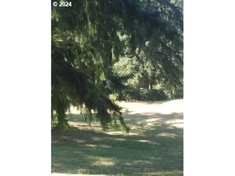 18624 Highway 36 Blachly OR 97412