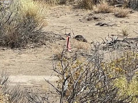 Off Rolfs Point Road Christmas Valley OR 97641