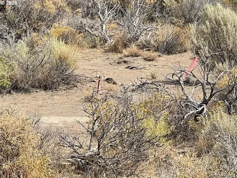 Off Rolfs Point Road Christmas Valley OR 97641
