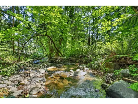 112 Carson Creek Road Carson WA 98610