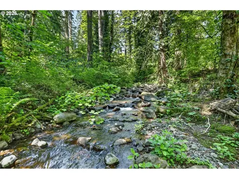 112 Carson Creek Road Carson WA 98610