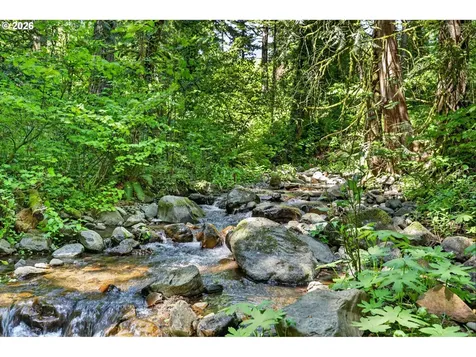 112 Carson Creek Road Carson WA 98610
